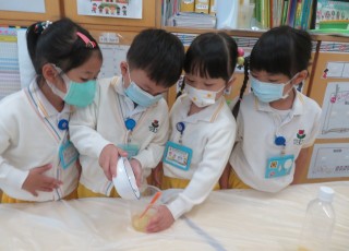 做做實驗，一同探索清潔劑如何分解油份吧！How do detergents work？ Let’s do an experiment!
