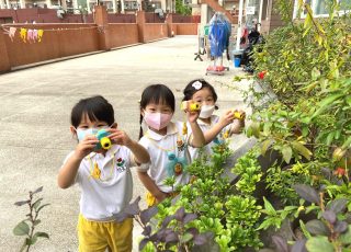 小小攝影師，拿著相機到處拍，天父的創造真奇妙喔! We are little photographer!