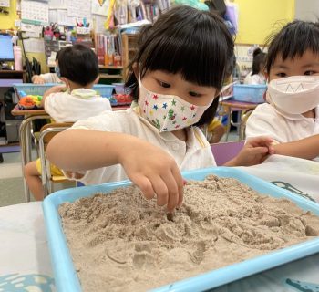 沙沙尋寶樂趣多，猜一猜，找一找，究竟甚麼藏於沙  Let me find out what's hidden in the sand!