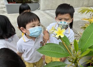 細心觀察周邊事物，學習珍惜大自然！Look! the flowers are blooming!