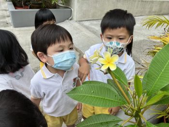 細心觀察周邊事物，學習珍惜大自然！Look! the flowers are blooming!